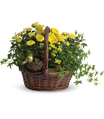 Yellow Trio Basket from In Full Bloom in Farmingdale, NY